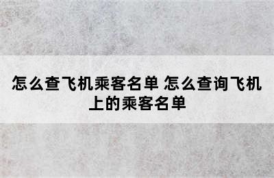 怎么查飞机乘客名单 怎么查询飞机上的乘客名单